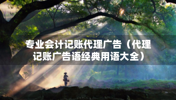 專業(yè)會(huì)計(jì)記賬代理廣告（代理記賬廣告語經(jīng)典用語大全）