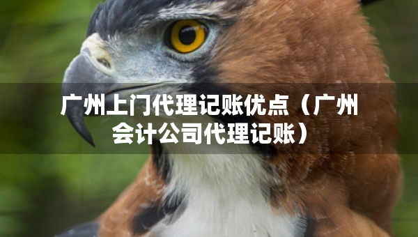廣州上門代理記賬優(yōu)點（廣州會計公司代理記賬）