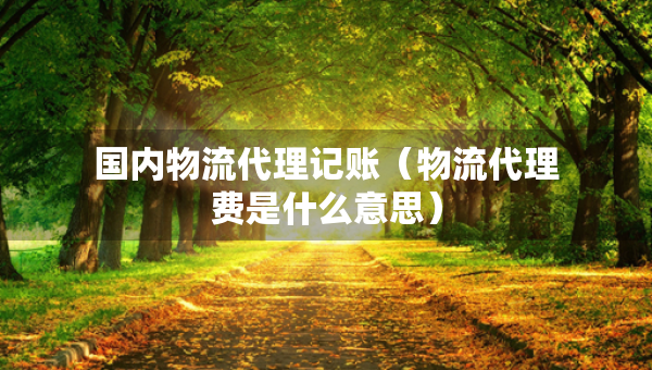 國內(nèi)物流代理記賬（物流代理費是什么意思）