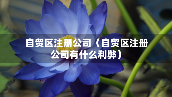 自貿(mào)區(qū)注冊(cè)公司（自貿(mào)區(qū)注冊(cè)公司有什么利弊）