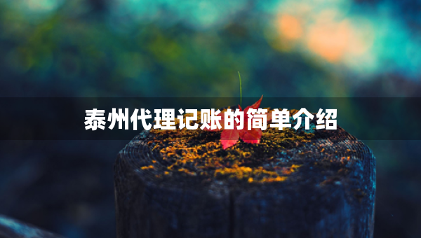 泰州代理記賬的簡單介紹