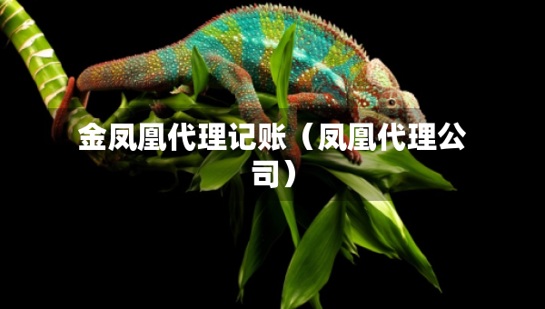 金鳳凰代理記賬（鳳凰代理公司）