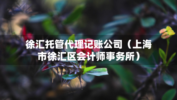 徐匯托管代理記賬公司（上海市徐匯區(qū)會(huì)計(jì)師事務(wù)所）