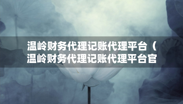 溫嶺財(cái)務(wù)代理記賬代理平臺（溫嶺財(cái)務(wù)代理記賬代理平臺官網(wǎng)）