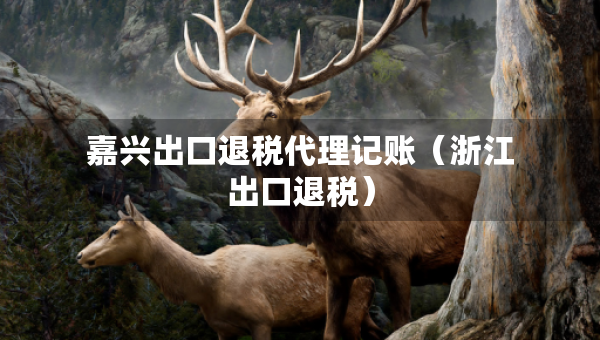 嘉興出口退稅代理記賬（浙江出口退稅）
