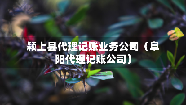潁上縣代理記賬業(yè)務(wù)公司（阜陽(yáng)代理記賬公司）