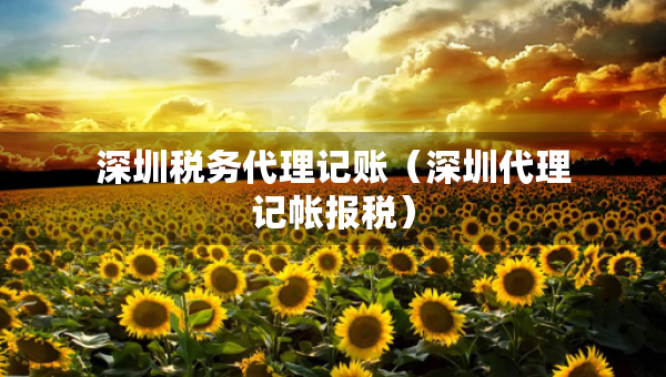 深圳稅務(wù)代理記賬（深圳代理記帳報(bào)稅）