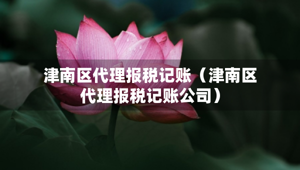 津南區(qū)代理報稅記賬（津南區(qū)代理報稅記賬公司）