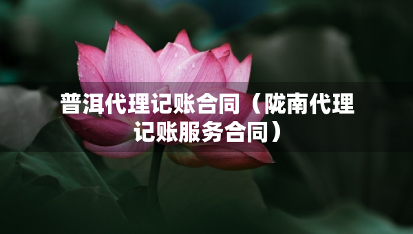 普洱代理記賬合同（隴南代理記賬服務(wù)合同）