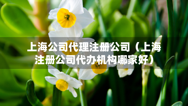 上海公司代理注冊公司（上海注冊公司代辦機構(gòu)哪家好）