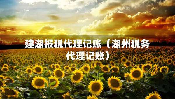 建湖報稅代理記賬（湖州稅務(wù)代理記賬）