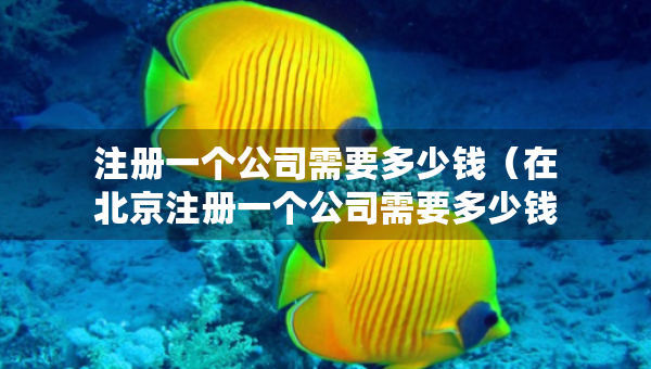 注冊一個(gè)公司需要多少錢（在北京注冊一個(gè)公司需要多少錢）