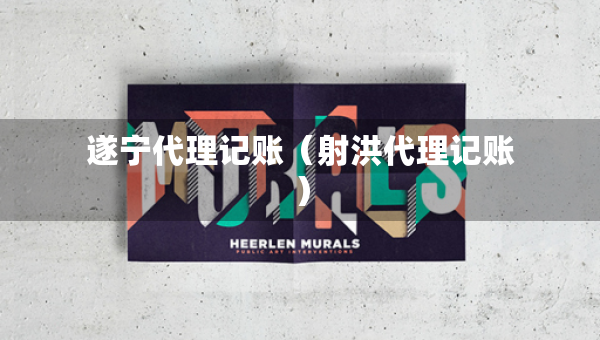 遂寧代理記賬（射洪代理記賬）