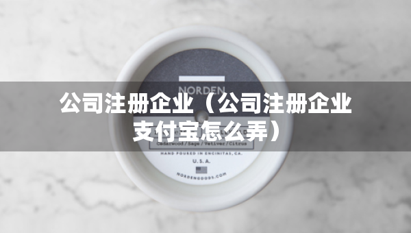公司注冊(cè)企業(yè)（公司注冊(cè)企業(yè)支付寶怎么弄）