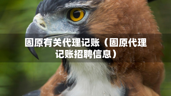 固原有關(guān)代理記賬（固原代理記賬招聘信息）