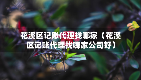 花溪區(qū)記賬代理找哪家（花溪區(qū)記賬代理找哪家公司好）