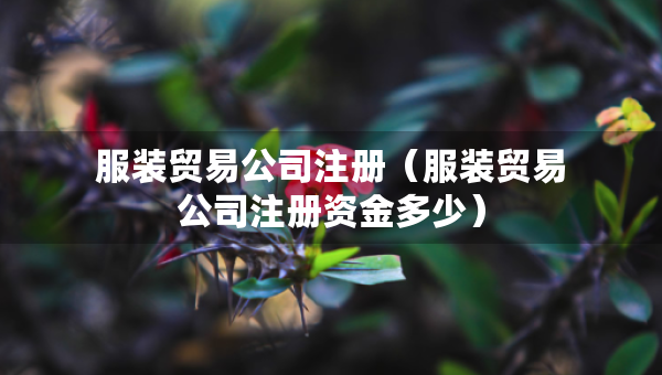 服裝貿(mào)易公司注冊（服裝貿(mào)易公司注冊資金多少）