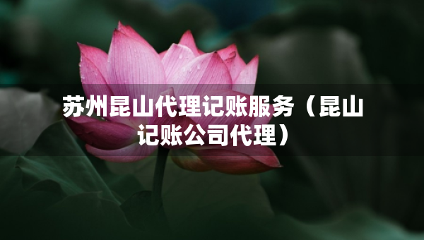 蘇州昆山代理記賬服務(wù)（昆山記賬公司代理）