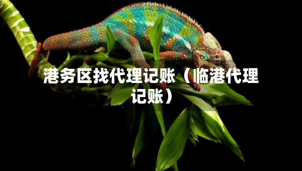 港務(wù)區(qū)找代理記賬（臨港代理記賬）