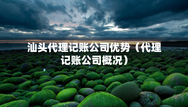 汕頭代理記賬公司優(yōu)勢（代理記賬公司概況）