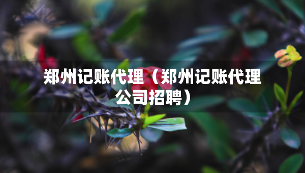 鄭州記賬代理（鄭州記賬代理公司招聘）