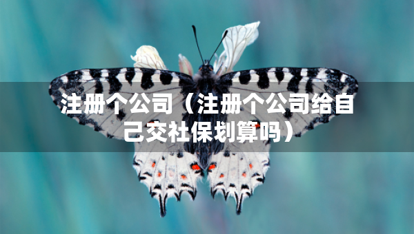 注冊(cè)個(gè)公司（注冊(cè)個(gè)公司給自己交社保劃算嗎）
