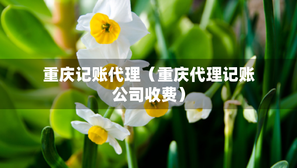 重慶記賬代理（重慶代理記賬公司收費(fèi)）