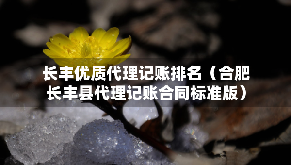 長豐優(yōu)質(zhì)代理記賬排名（合肥長豐縣代理記賬合同標(biāo)準(zhǔn)版）