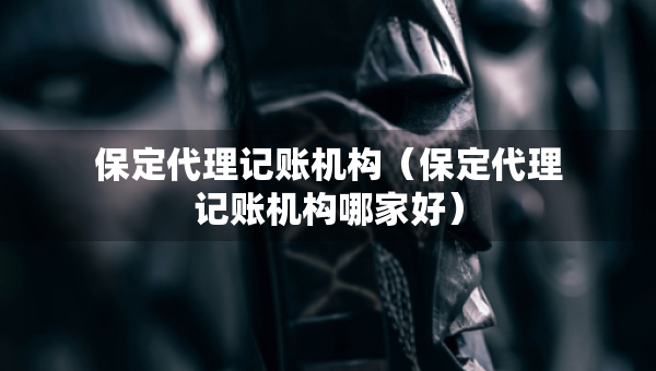 保定代理記賬機(jī)構(gòu)（保定代理記賬機(jī)構(gòu)哪家好）