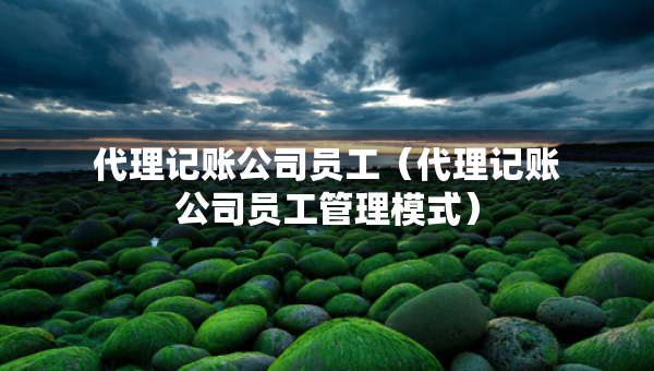 代理記賬公司員工（代理記賬公司員工管理模式）