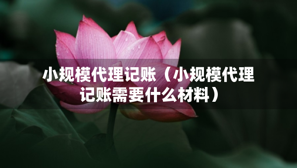 小規(guī)模代理記賬（小規(guī)模代理記賬需要什么材料）