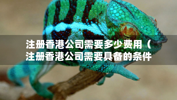 注冊香港公司需要多少費用（注冊香港公司需要具備的條件）
