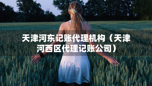 天津河?xùn)|記賬代理機(jī)構(gòu)（天津河西區(qū)代理記賬公司）
