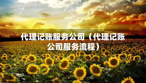代理記賬服務公司（代理記賬公司服務流程）