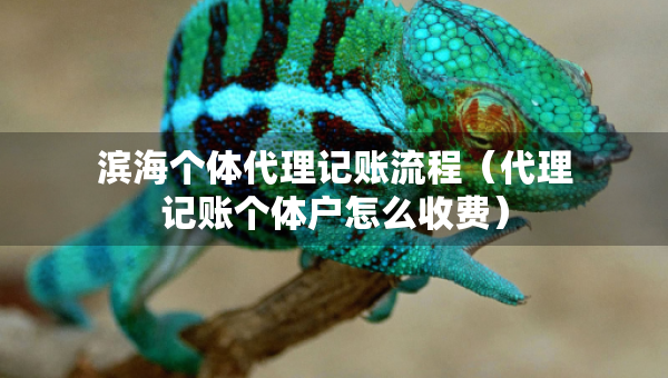 濱海個體代理記賬流程（代理記賬個體戶怎么收費）
