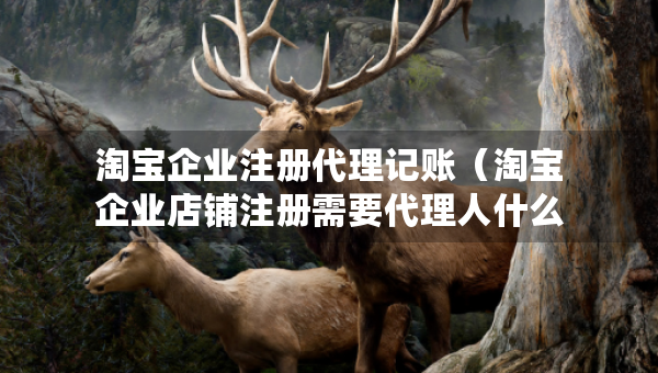淘寶企業(yè)注冊(cè)代理記賬（淘寶企業(yè)店鋪?zhàn)?cè)需要代理人什么資料）