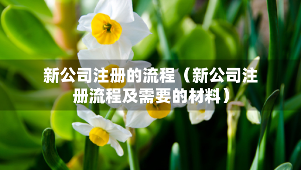 新公司注冊的流程（新公司注冊流程及需要的材料）