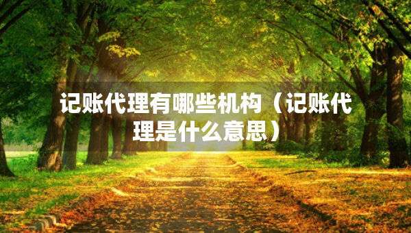 記賬代理有哪些機(jī)構(gòu)（記賬代理是什么意思）