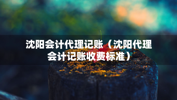 沈陽會計代理記賬（沈陽代理會計記賬收費標準）