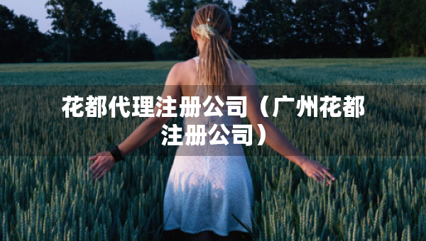 花都代理注冊公司（廣州花都注冊公司）