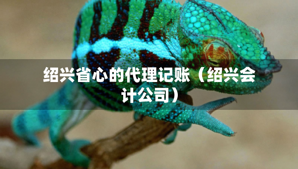紹興省心的代理記賬（紹興會計公司）