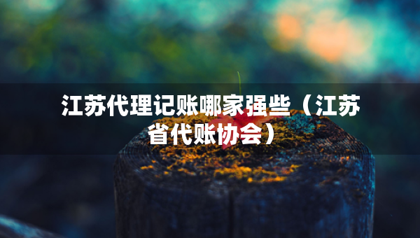 江蘇代理記賬哪家強些（江蘇省代賬協(xié)會）