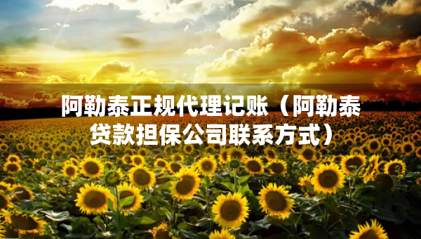 阿勒泰正規(guī)代理記賬（阿勒泰貸款擔(dān)保公司聯(lián)系方式）