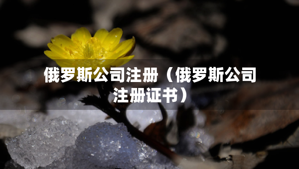 俄羅斯公司注冊（俄羅斯公司注冊證書）