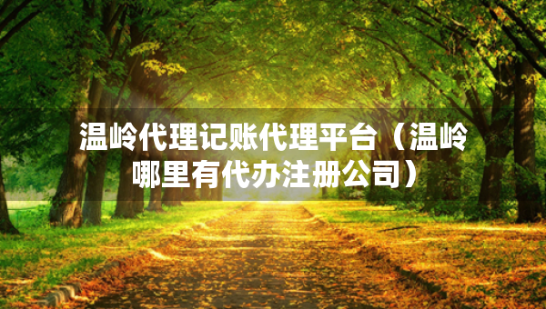 溫嶺代理記賬代理平臺（溫嶺哪里有代辦注冊公司）