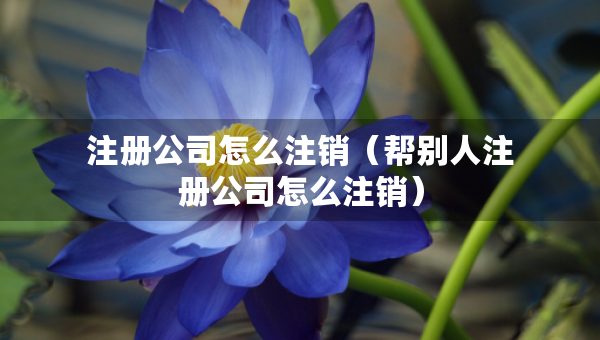 注冊(cè)公司怎么注銷(xiāo)（幫別人注冊(cè)公司怎么注銷(xiāo)）