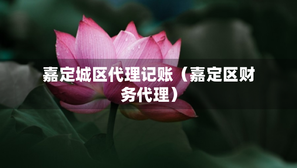嘉定城區(qū)代理記賬（嘉定區(qū)財務(wù)代理）