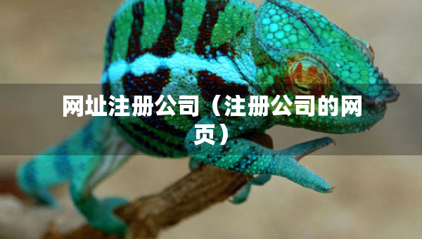 網(wǎng)址注冊(cè)公司（注冊(cè)公司的網(wǎng)頁）