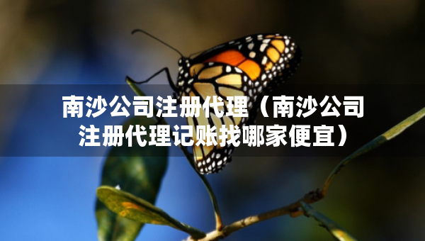 南沙公司注冊代理（南沙公司注冊代理記賬找哪家便宜）