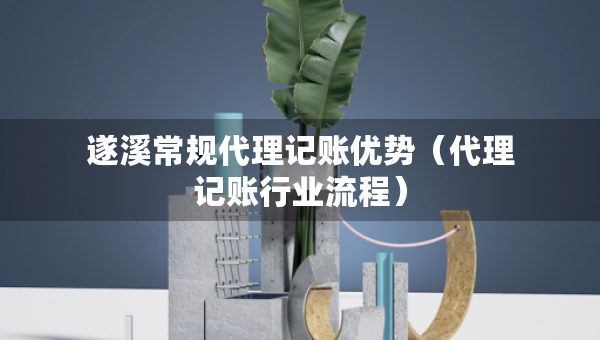 遂溪常規(guī)代理記賬優(yōu)勢(shì)（代理記賬行業(yè)流程）